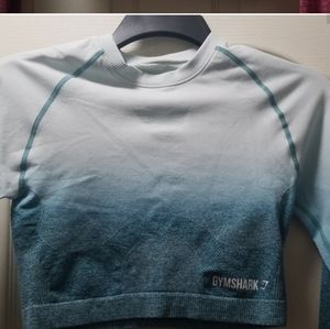 Ombre seamless long sleeve medium